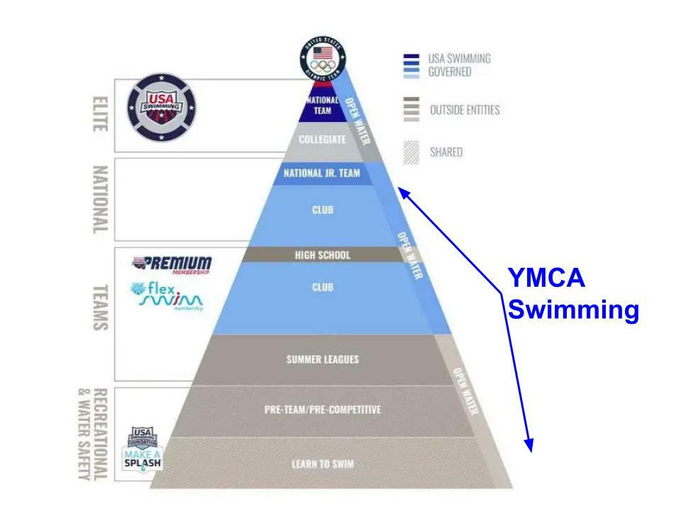 Swimming Hierarchy Nazareth/Easton YMCA Swim Team