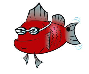 Temporary Tattoo 4 for $2