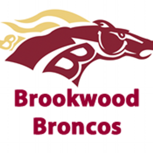 Silver Sponsor