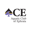 ACE Logo