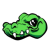 Valley View Gators Logo