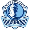 Meadowcreek Swim and Dive Logo