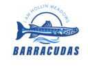 Hollin Meadows Swim Team Logo
