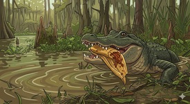 Gators_tamales