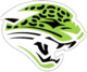 Jnst-logo