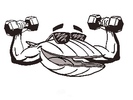 Potomac Swim and Dive Team Logo