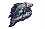 Birmingham Park & Recreation Logo