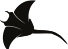 Connecticut River Valley Stingrays Logo