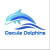 Dacula Dolphins Swim Team Logo