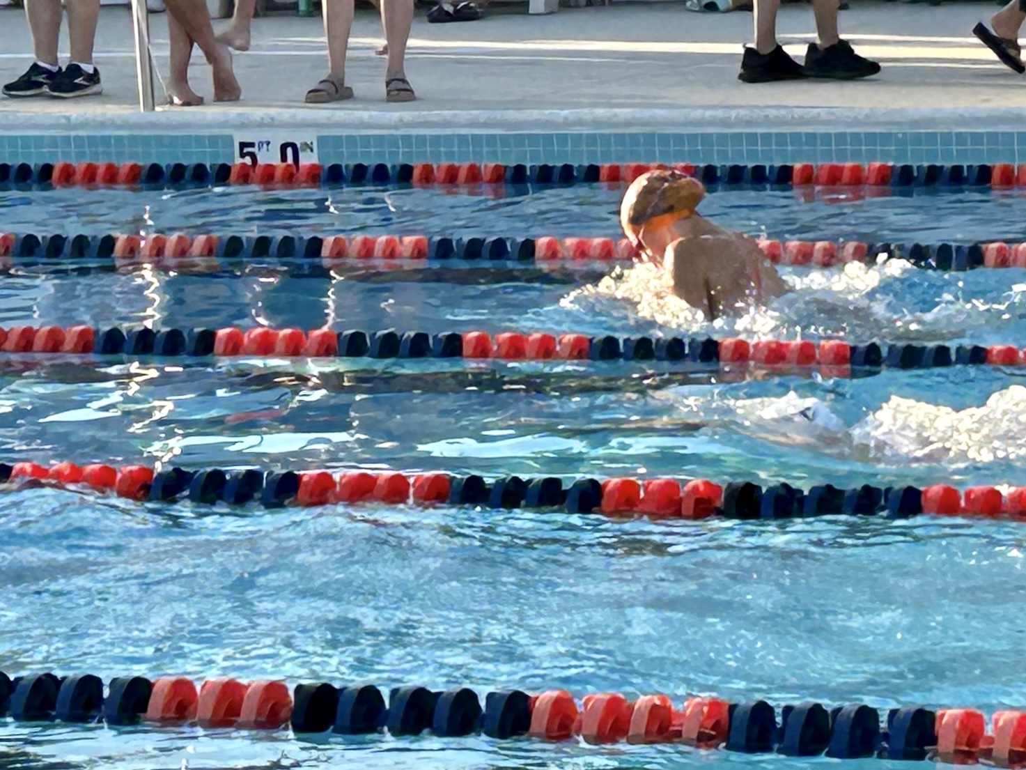 Photo Gallery Two Rivers Aquatics