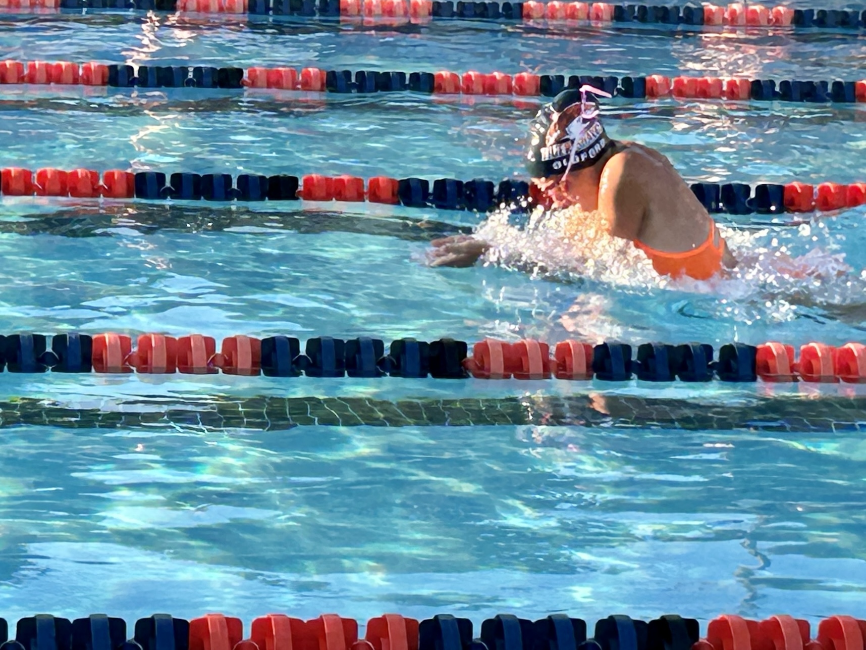 Photo Gallery - Two Rivers Aquatics