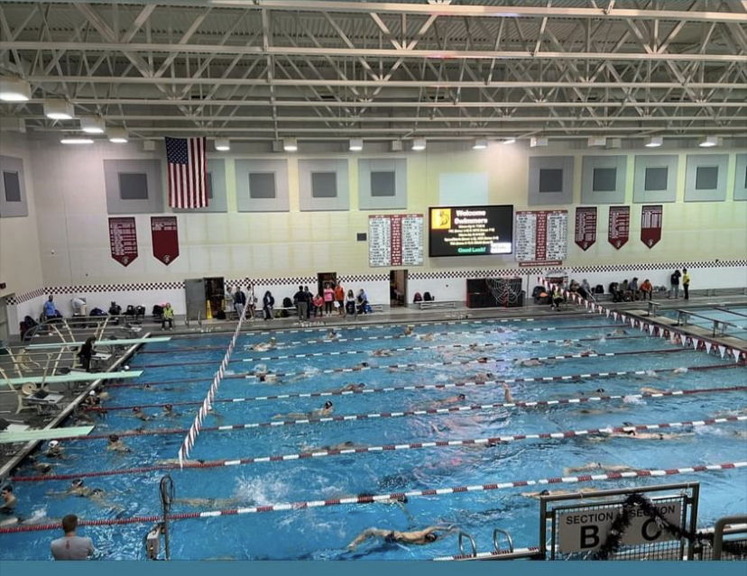 Photo Gallery Two Rivers Aquatics