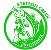 Stetson Creek Logo