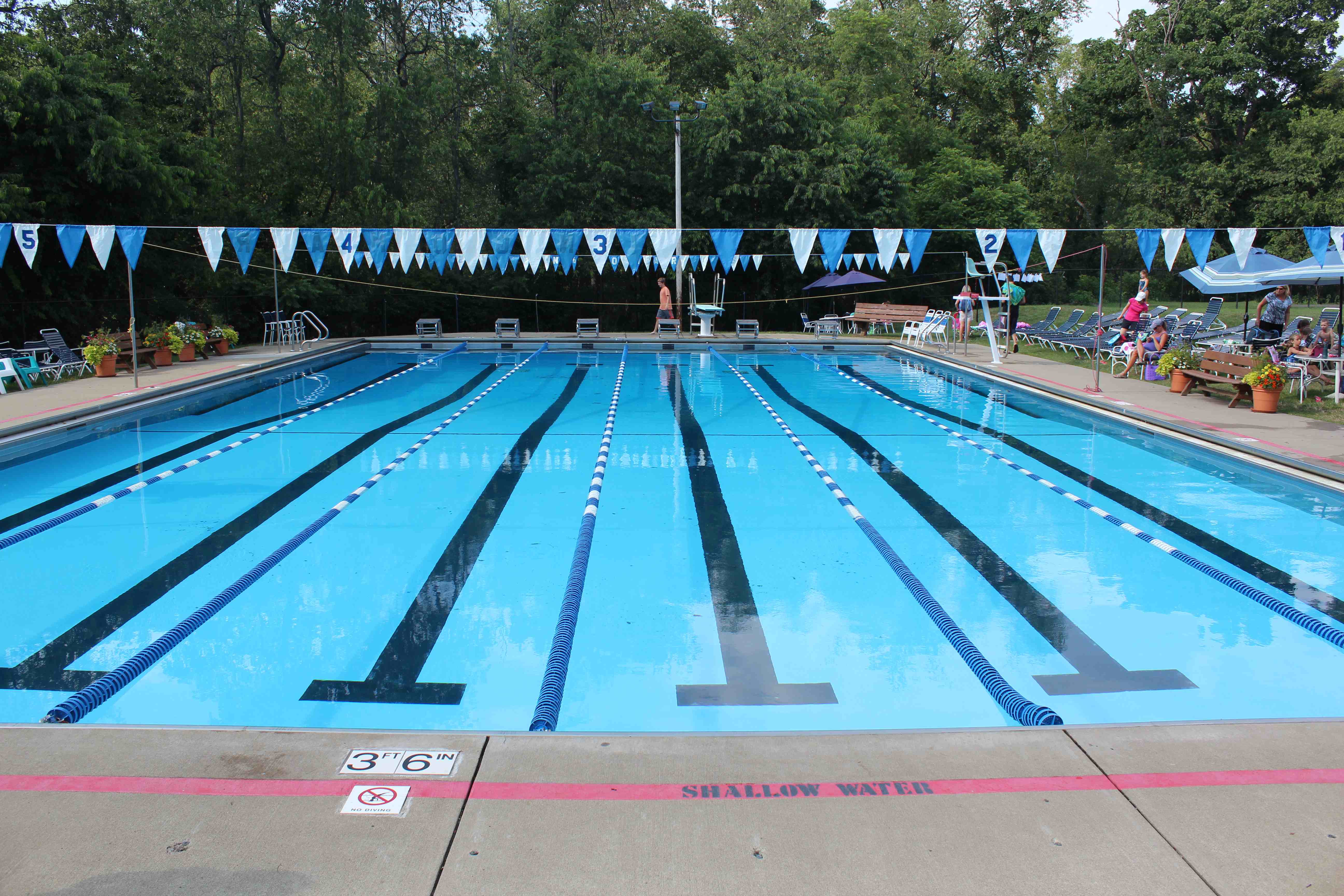 Home Ingomar Swim Team