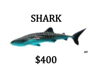 Sponsorship - SHARK
