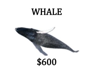 Sponsorship - WHALE