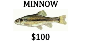 Sponsorship - MINNOW