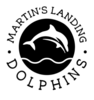 ML Dolphins Logo
