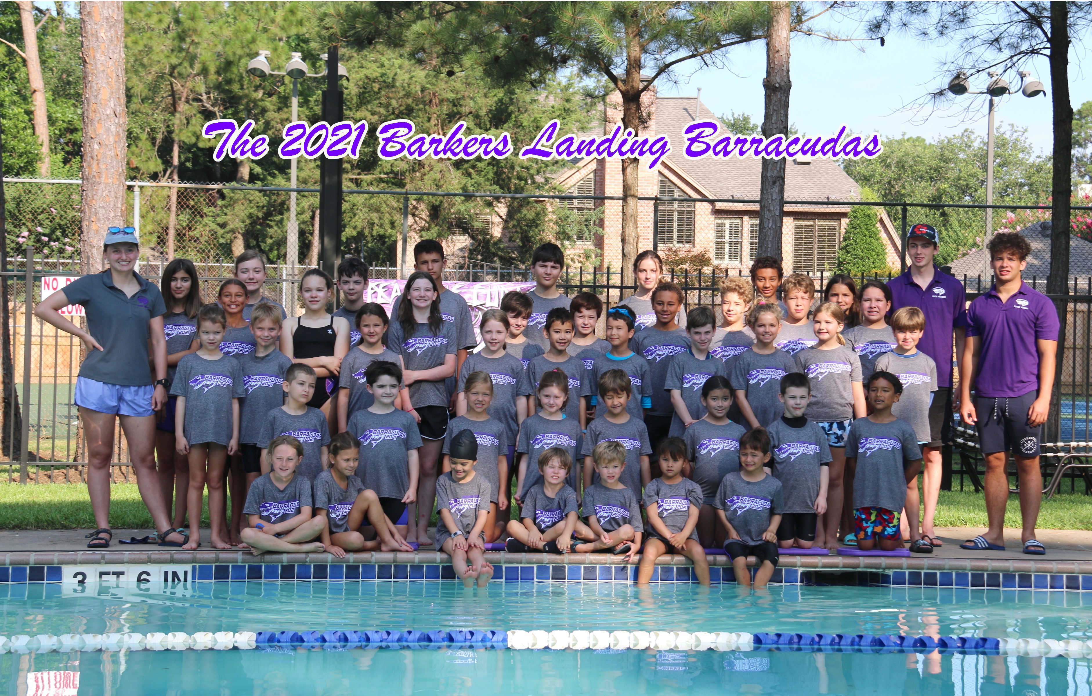 Home Barkers Landing Barracudas Swim Team