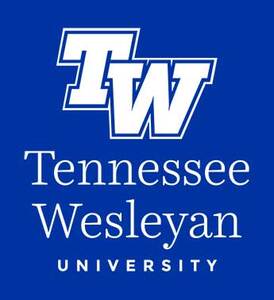 Newtwulogobluestacked