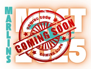 2026 Marlins Fan T-Shirt /or/ Tank Shirt