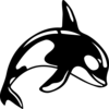 Monticello Killer Whales Swim Team Logo