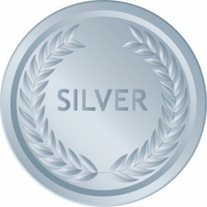 Silver Sponsorship