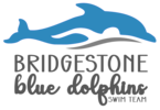 Bridgestone Blue Dolphins Logo