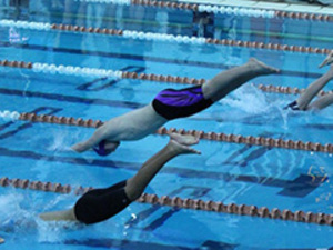 Seals-evan-crop