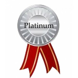 Platinum Sponsorship