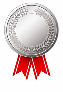 Silver Sponsorship