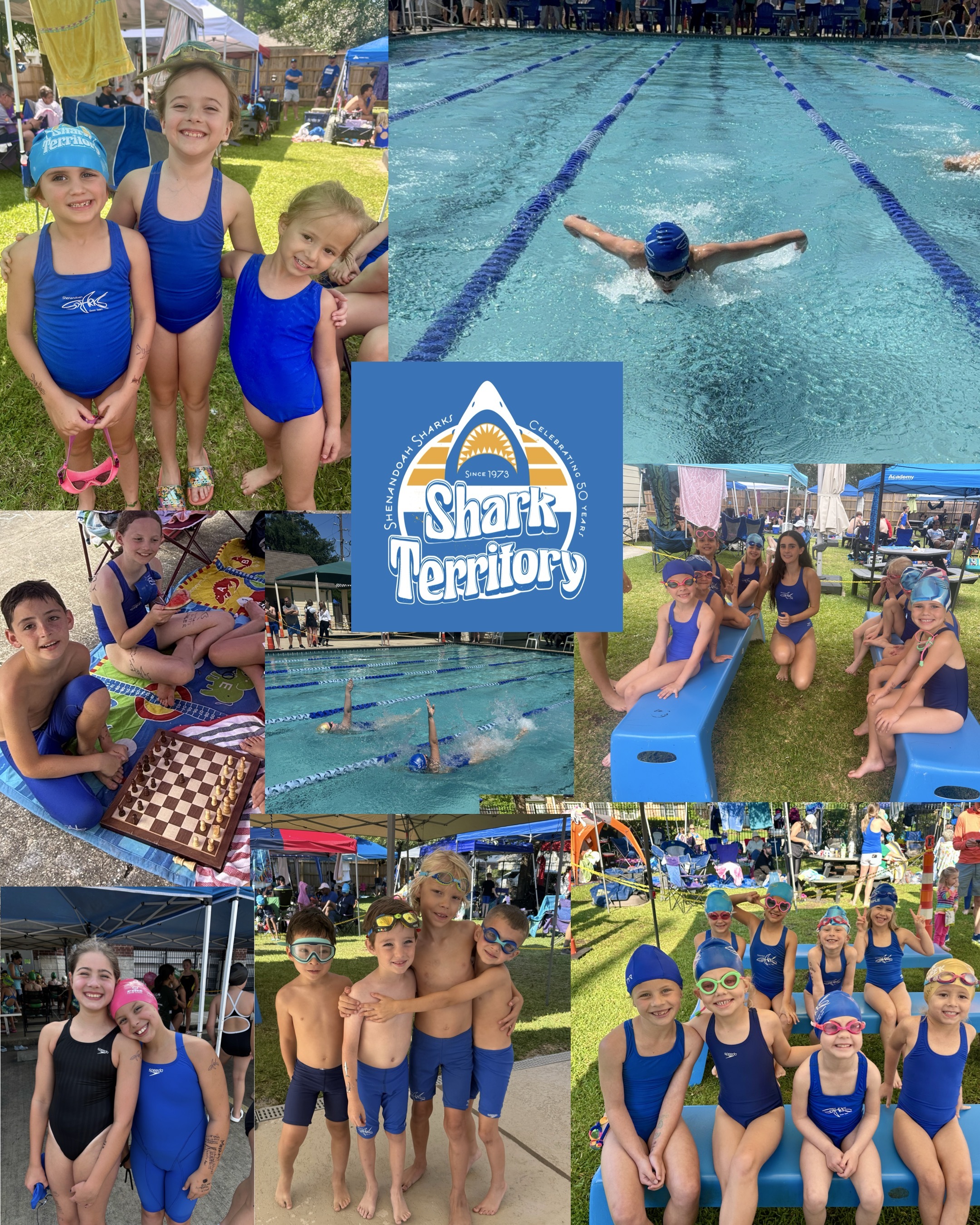 Home - Shenandoah Sharks Swim Team