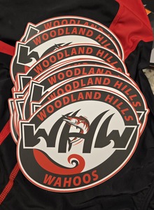 Car Decal (2026)