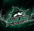 Woodlands Marlins Logo