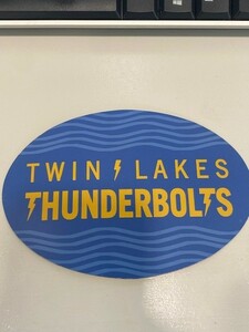 TL car magnet