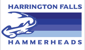 Harrington Falls Hammerheads Logo