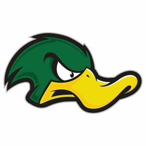 Forsyth_crazy_ducks