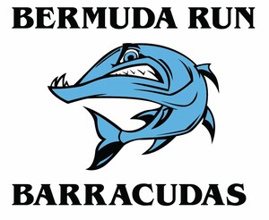 Bermuda_run_barracudas