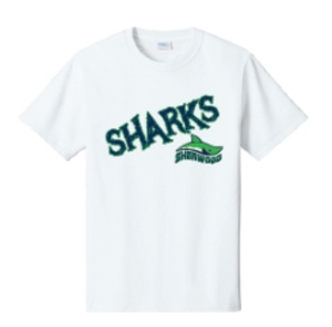 Extra 2026 TShirt (each swimmer gets 1 with registration)