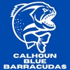Calhoun Blue Barracudas Logo