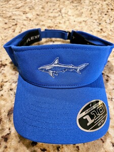 Visor 110 Flexfit Tech