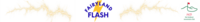 Fairyland Flash Swim Team Logo