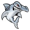 Hampton Hammerheads Logo
