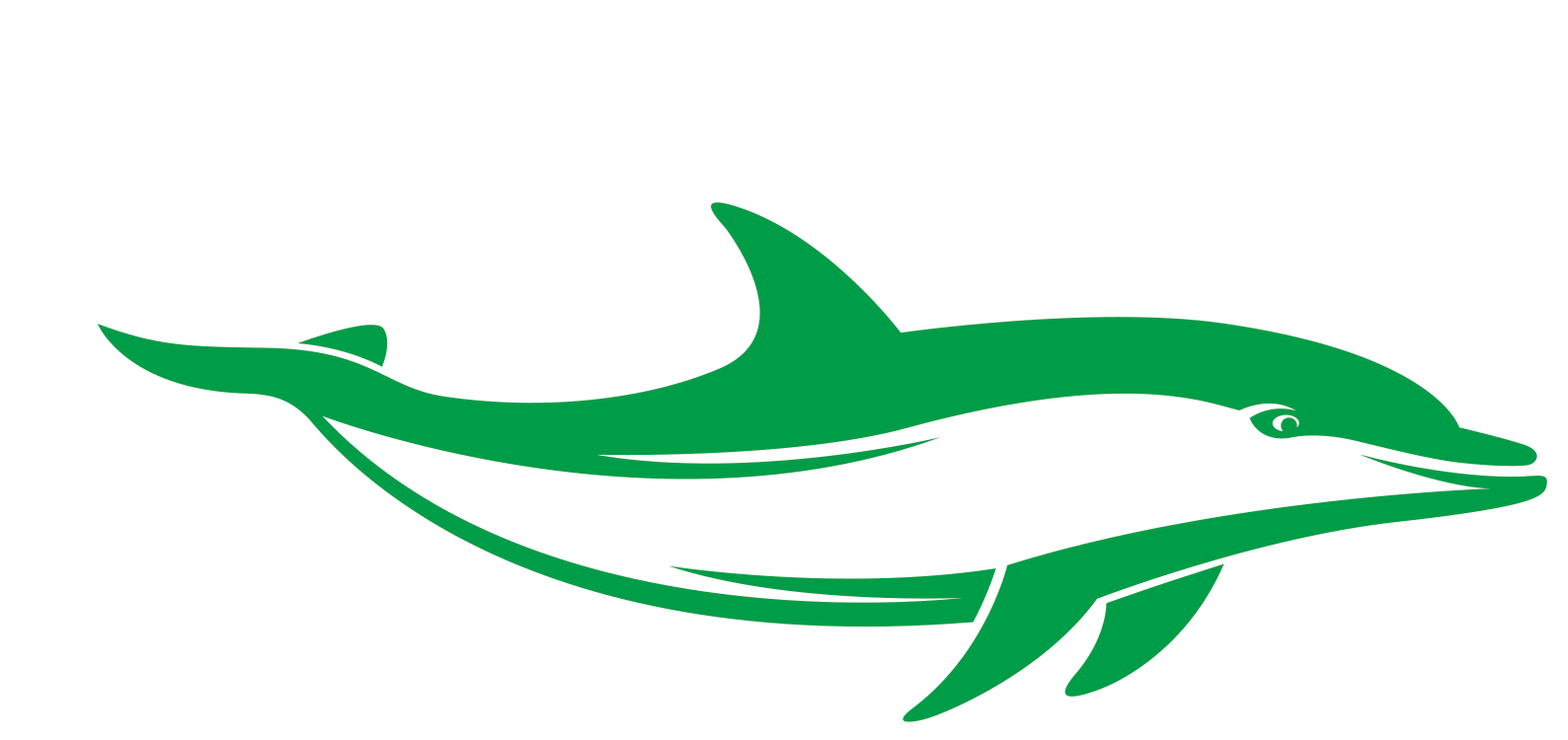 swim-outlet-store-peace-haven-dolphins