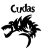 Barracuda Swim Team Logo