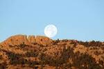 Horsetooth Summer Swim League Logo