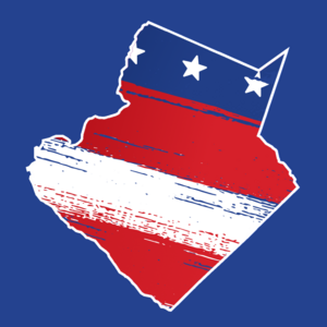 America / Gwinnett Latex Swim Cap