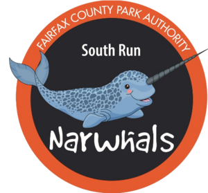 Narwhal-fotor-bg-remover-2023041213822