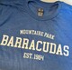 Blue_tshirt