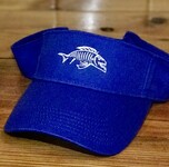 Visor